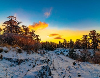 Darjeeling City Tour