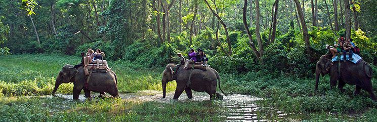 Chitwan National Park