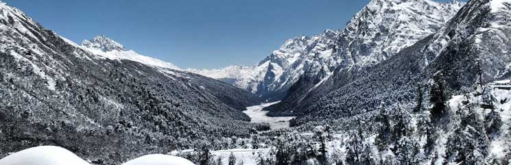 Yumthang Valley