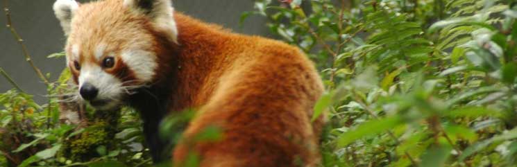 Maenam Wildlife Sanctuary